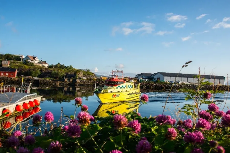En havn med blomster i forgrunnen og en gul ambulansebåt som ligger på vannet.