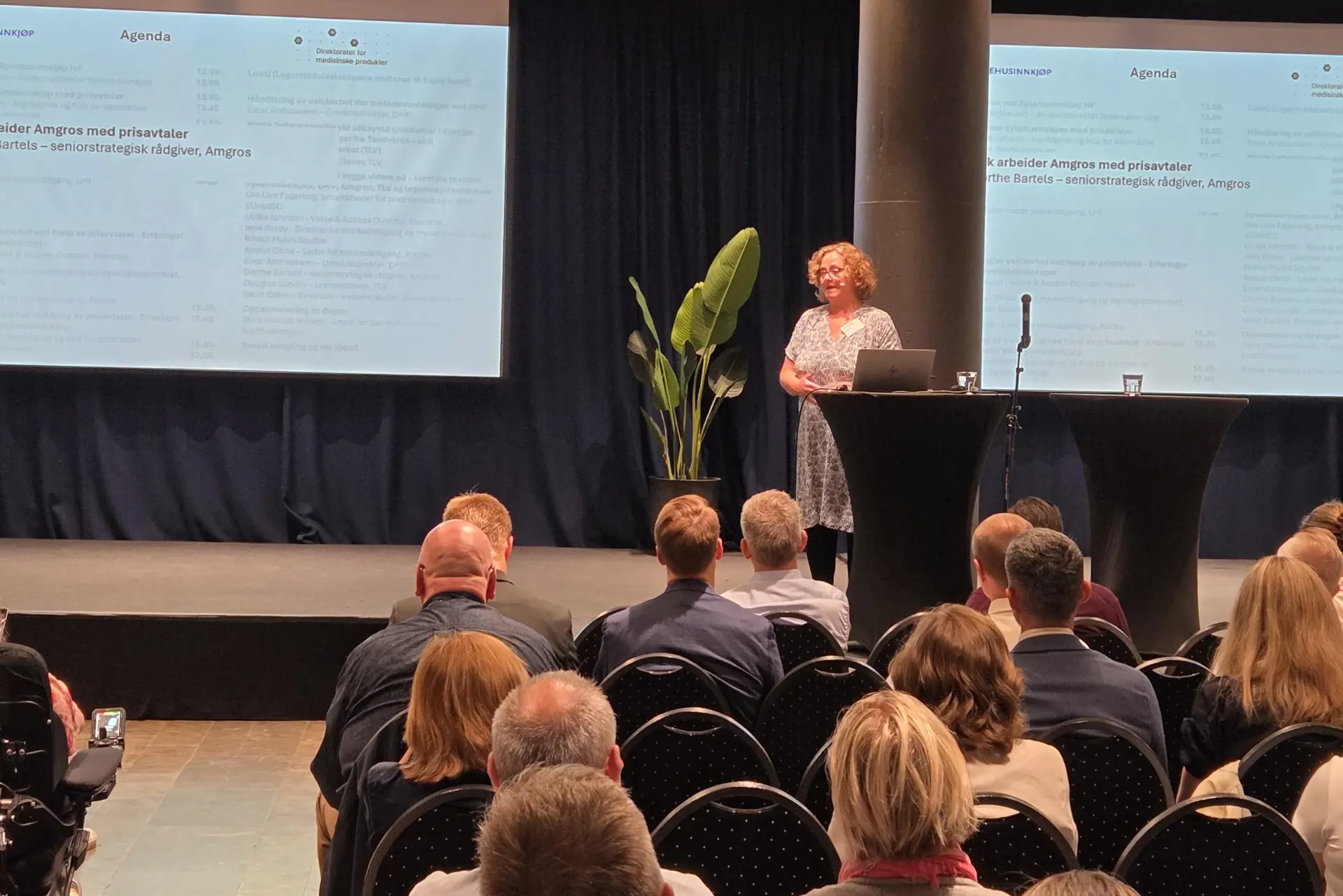 En person som holder en presentasjon for et publikum