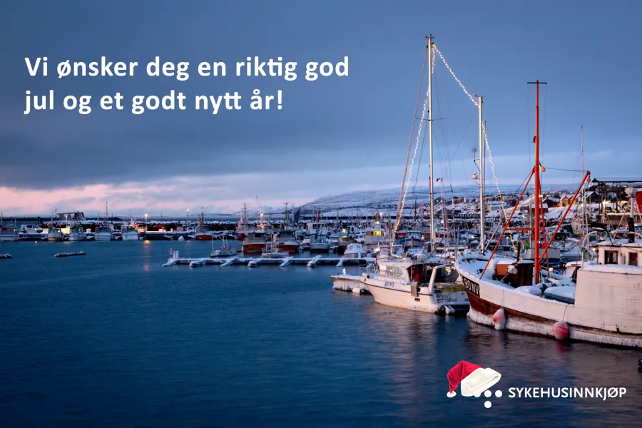 En gruppe båter i en havn